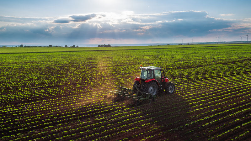 Soluzioni BMP Europe per settore agricoltura e alimenti