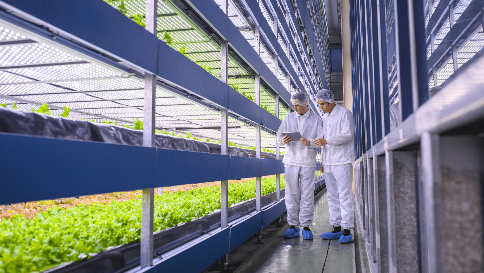 isolamento-termico-ambientale-in-serra Porte rapide per isolamento termico ambientale in serra